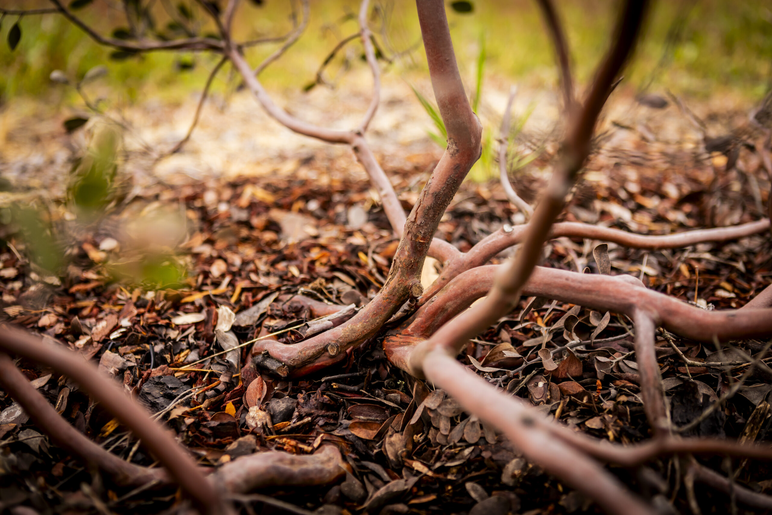 Trabajos iniciales de instalación